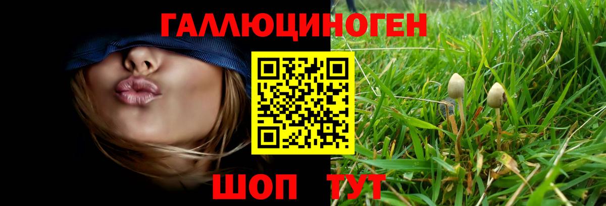 Галлюциногенные грибы Cubensis Арсеньев